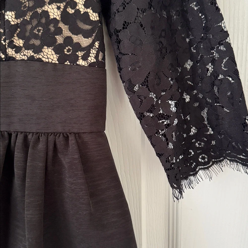 Eliza J Black Eyelash Lace and Faille Fit and Flare Cocktail Dress - Picture 5 of 6